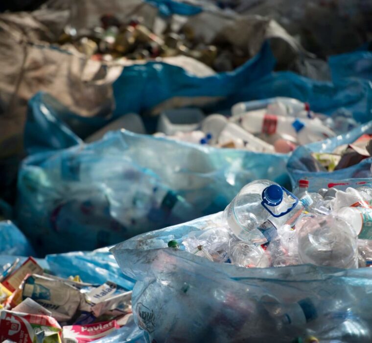 Muellsammler DSC3534.jpg Lohnes 1536x1025 1