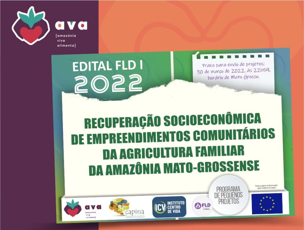 Recuperação socioeconômica de empreendimentos comunitários da agricultura familiar da Amazônia mato-grossense