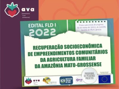 Projeto Amazônia Viva Alimenta (AVA) abre edital para recuperação socioeconômica de empreendimentos comunitários da agricultura familiar da Amazônia mato-grossense