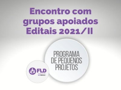 FLD promove encontro com iniciativas apoiadas via Programa de Pequenos Projetos nos Editais 2021/II