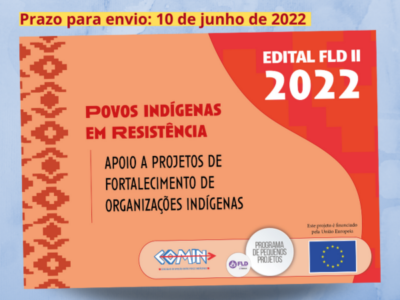 FLD-COMIN abre edital para contribuir para o fortalecimento da atuação de organizações indígenas