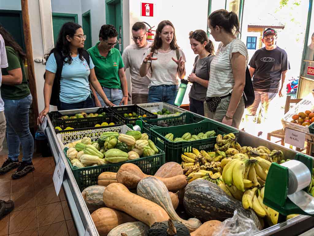 Jovens alemães visitam famílias agricultoras agroecológicas de Marechal Cândido Rondon 4 IMG 2398
