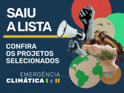 Confira a lista dos projetos selecionados nos Editais FLD 2024: Emergência Climática