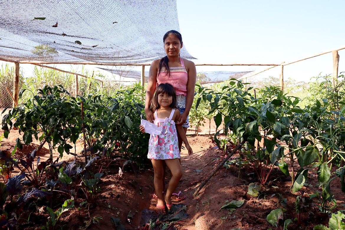 Roçados e quintais produtivos fortalecem a alimentação das famílias Avá Guarani no oeste do Paraná 3 4