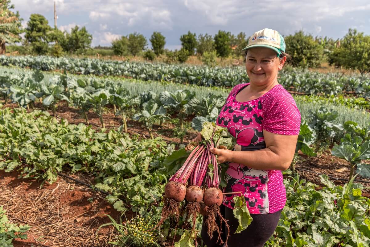 Agroecologia