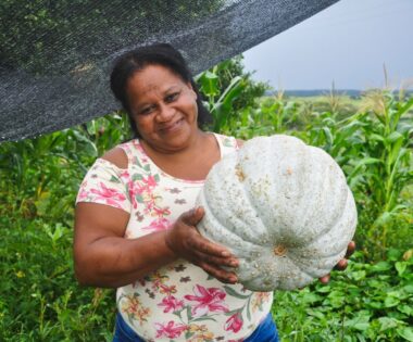 Foto: Rocheli Wachholz