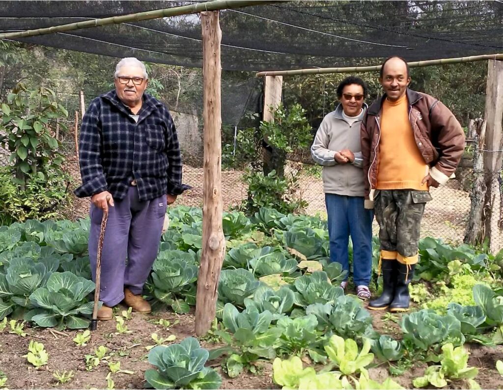 Comida Boa na Mesa 3