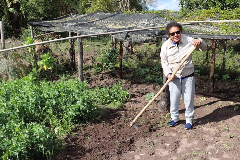 Territorio Sul do RS 2024–2026 3