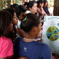 Calendario Yva Renda 2