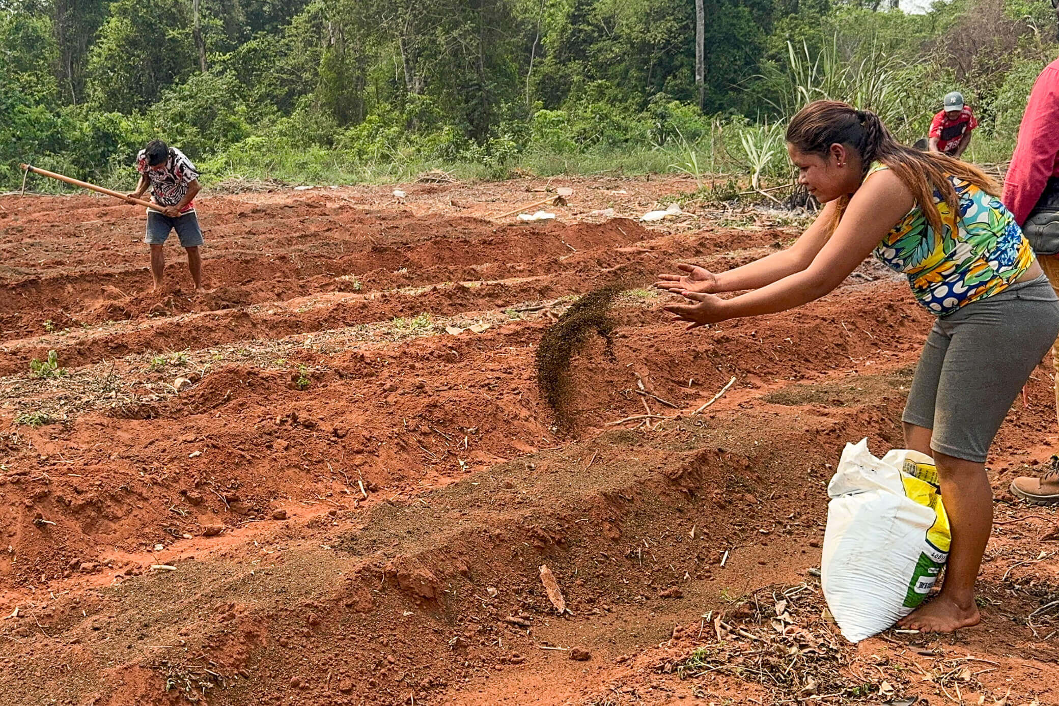 Projeto OPANÁ: Chão Indígena conclui primeira etapa e abre novo ciclo de fortalecimento das comunidades Guarani do Paraná 10 Foto: Fabio Conterno/FLD