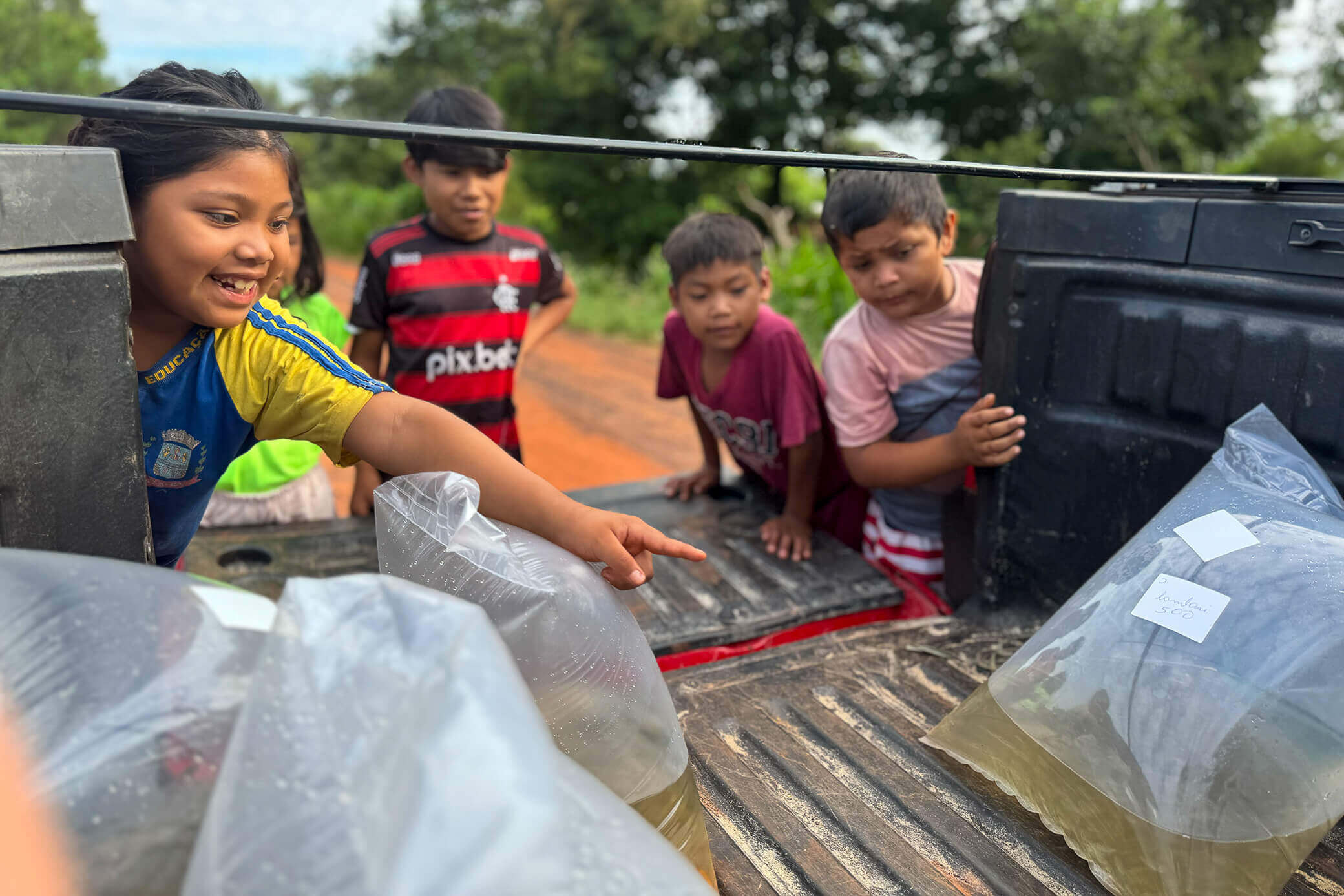 Projeto OPANÁ: Chão Indígena conclui primeira etapa e abre novo ciclo de fortalecimento das comunidades Guarani do Paraná 4 Foto: Fabio Conterno/FLD