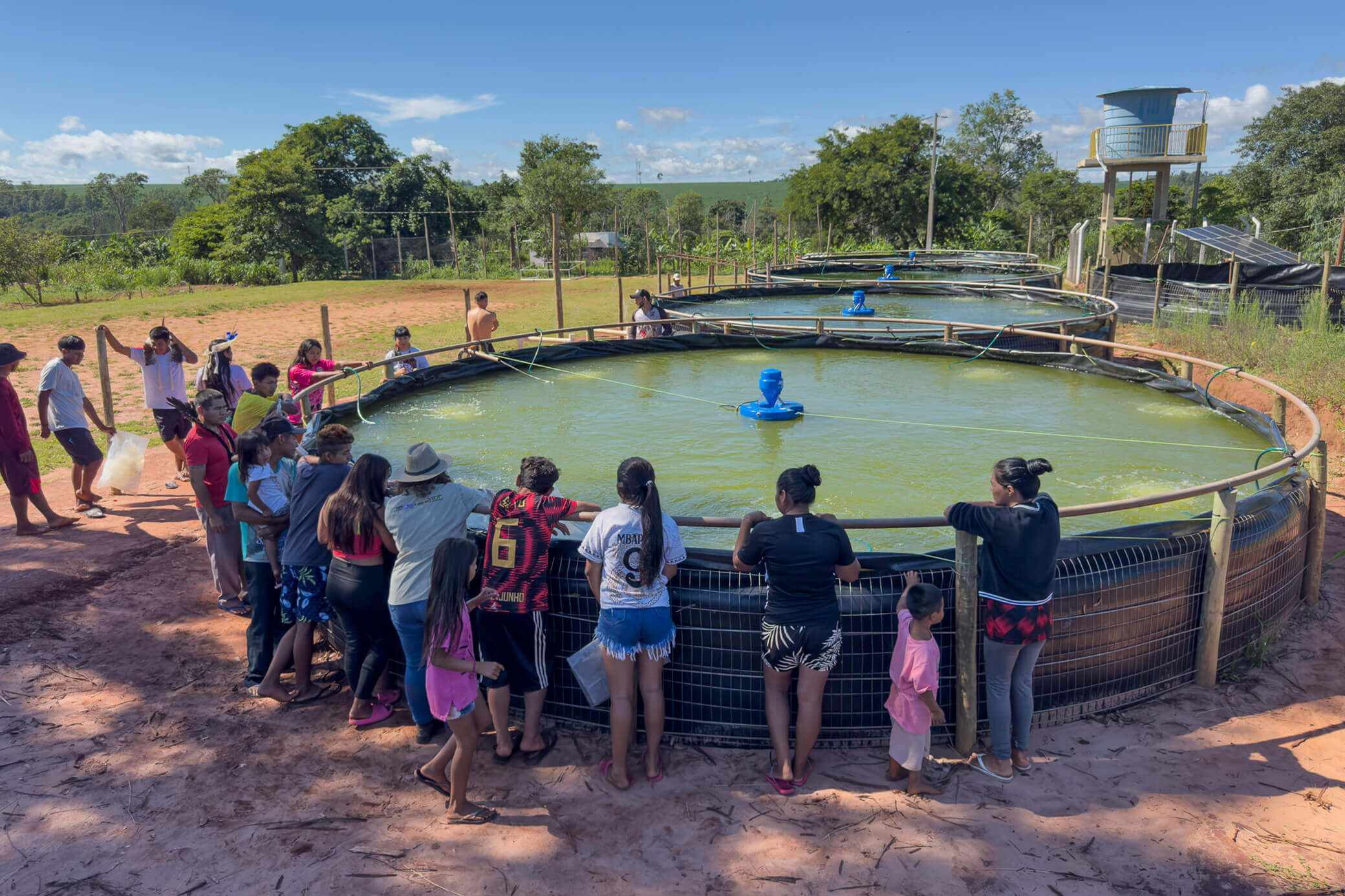 Projeto OPANÁ: Chão Indígena conclui primeira etapa e abre novo ciclo de fortalecimento das comunidades Guarani do Paraná 12 Foto: Fabio Conterno/FLD