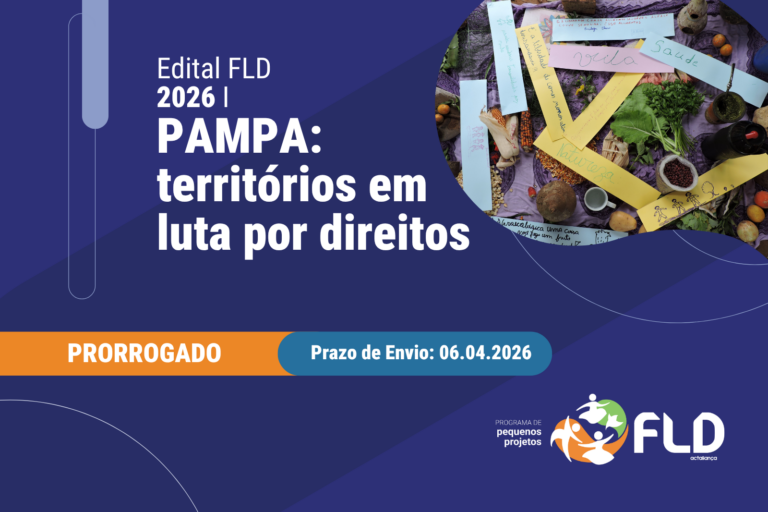 Edital FLD 2026 I - Pampa: territórios em luta por direitos - Fundação ...