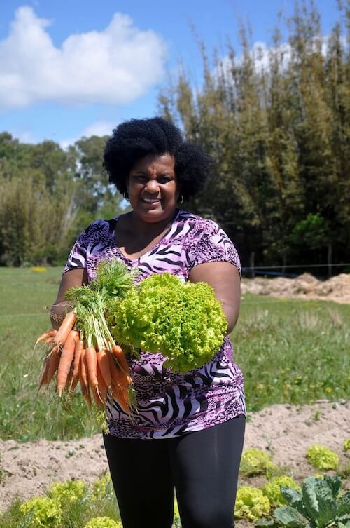 Fotografia de uma mulher negra kilombola de meia idade em uma plantação ao ar livre, segurando maços de cenouras e alfaces frescos, recém-colhidos. Ela veste uma blusa roxa com estampa abstrata e calça preta, e está sorrindo suavemente. Ao fundo, há vegetação nativa, céu azul com algumas nuvens e um canteiro de hortaliças. Na parte superior da imagem, em letras brancas, está escrito: "PROGRAMA CAPA DE agroecologia". A imagem representa práticas agroecológicas tradicionais e protagonismo de mulheres negras kilombolas no campo.