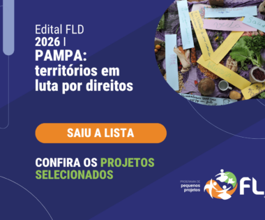 Projetos Selecionados Edital FLD 2026 I