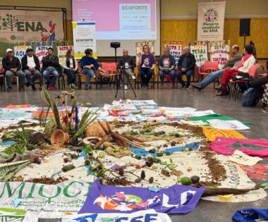 Projeto de agroecologia em territórios da região Sul