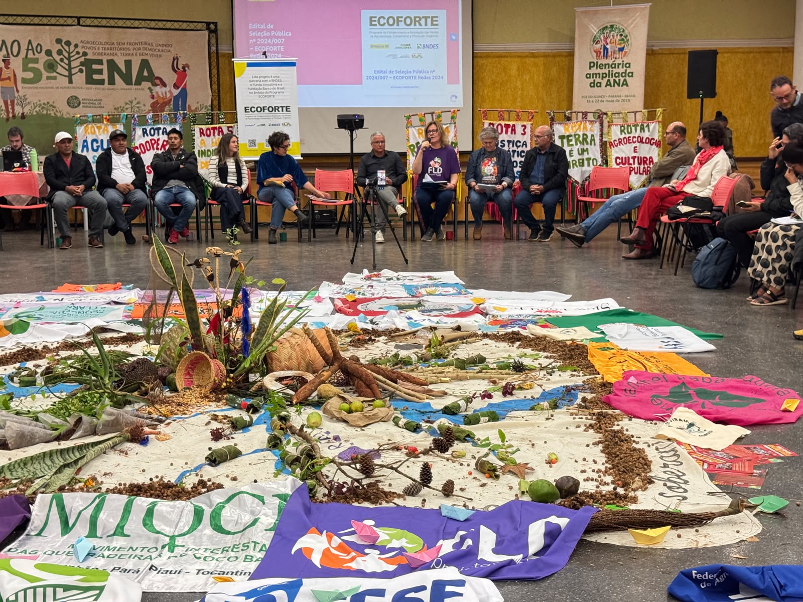 Projeto de agroecologia em territórios da região Sul