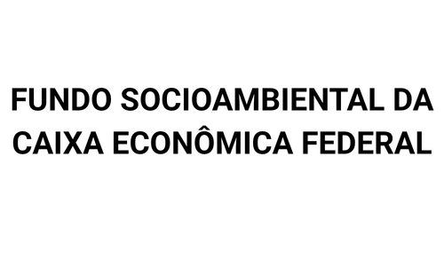FSA CAIXA 1