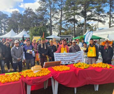 Presença Guarani na Jornada de Agroecologia